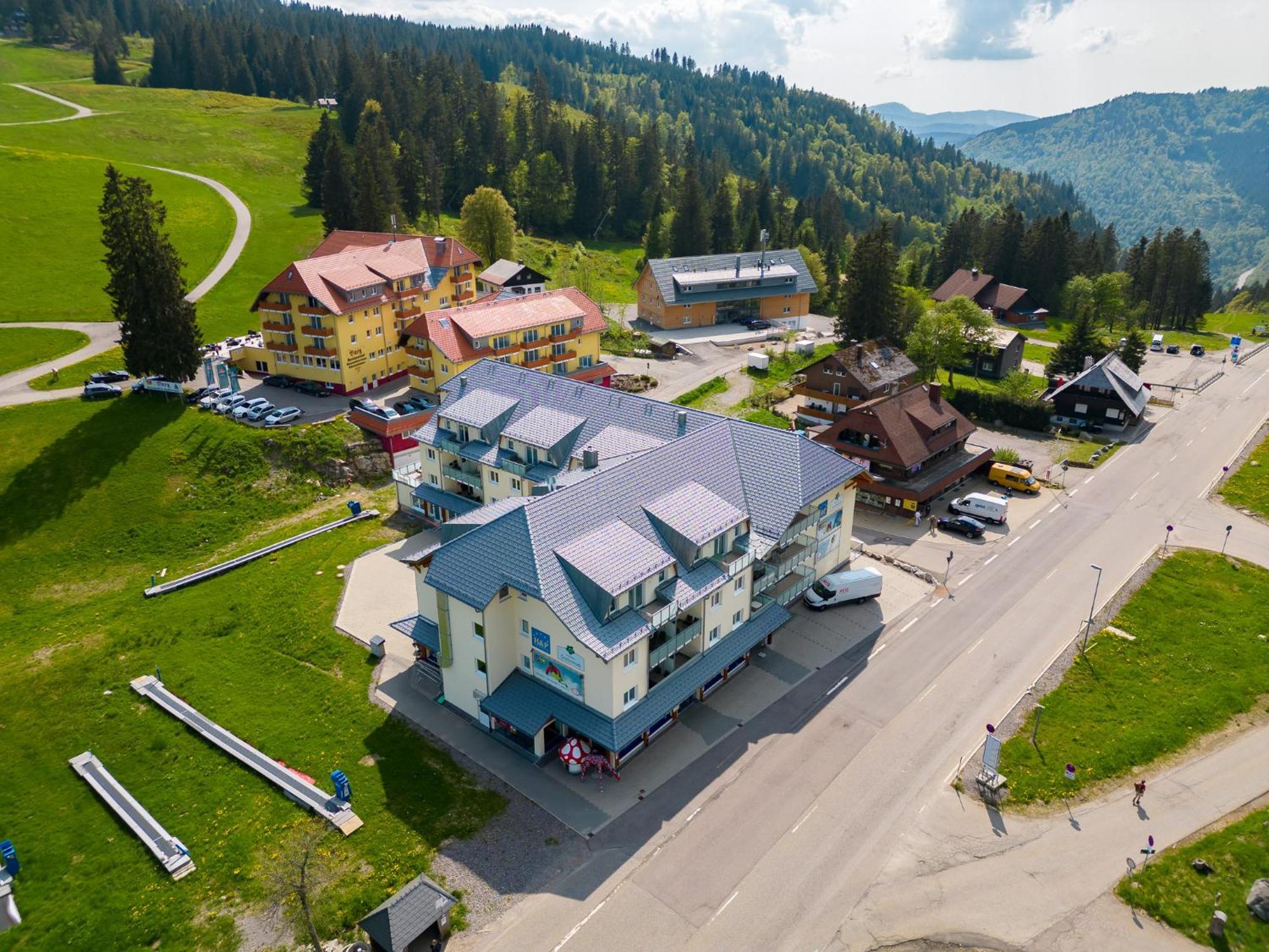 113 * Feldberg (Baden-Wurttemberg)
